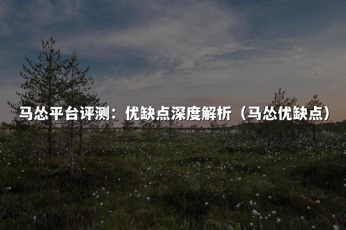 马怂平台评测:优缺点深度解析(马怂优缺点)