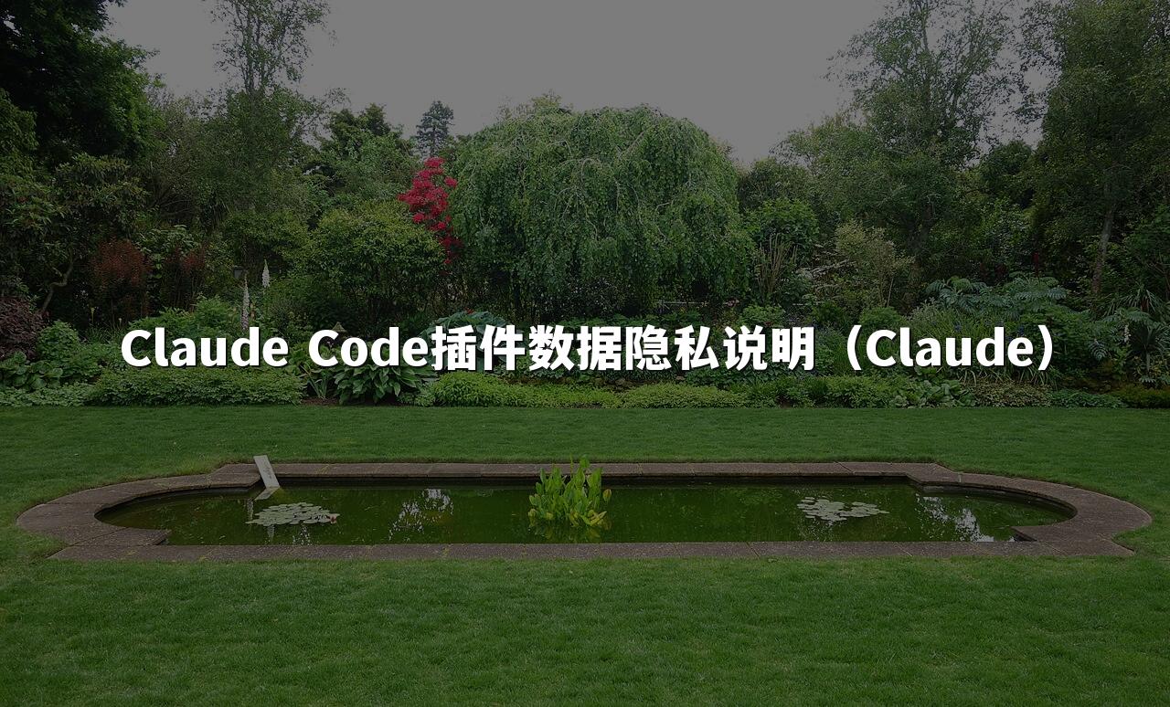 Claude Code插件数据隐私说明（Claude）
