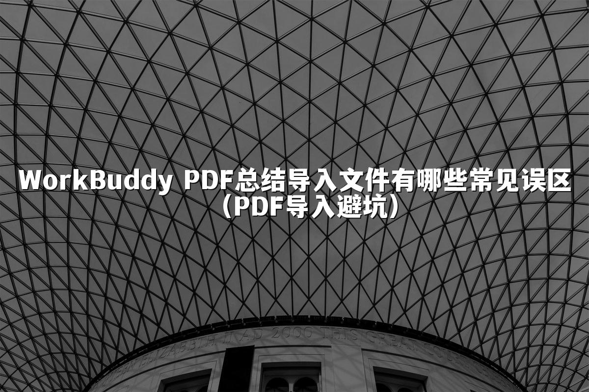 WorkBuddy PDF总结导入文件有哪些常见误区（PDF导入避坑）