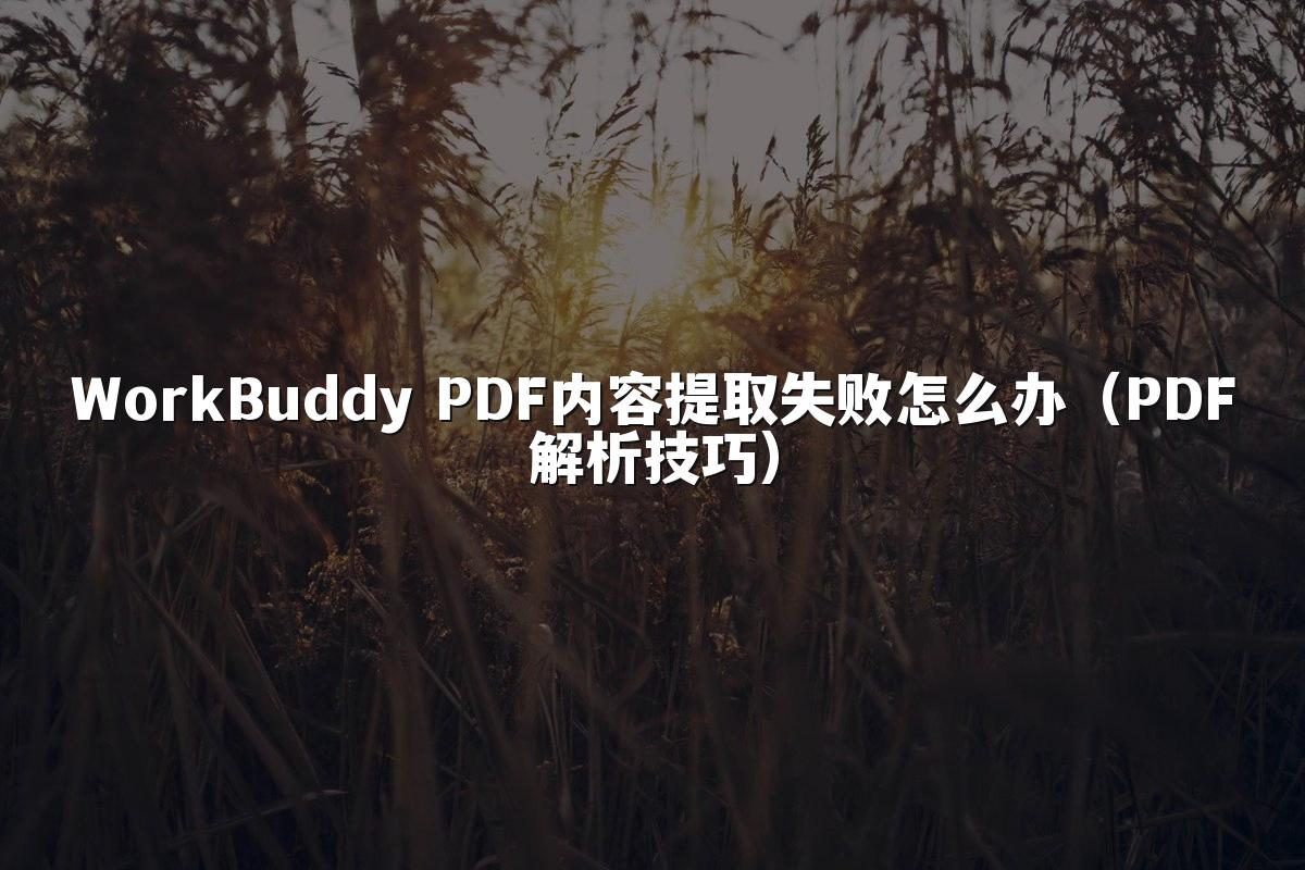 WorkBuddy PDF内容提取失败怎么办（PDF解析技巧）