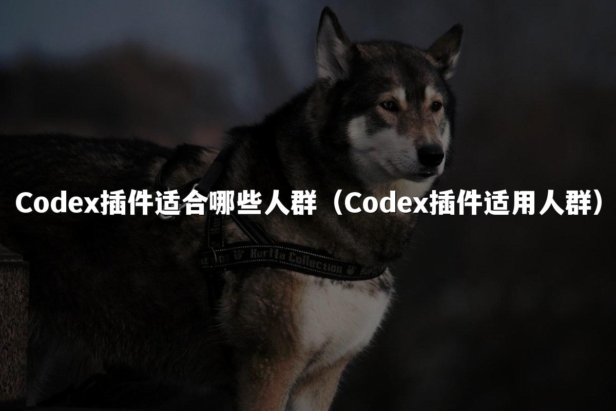 Codex插件适合哪些人群(Codex插件适用人群)