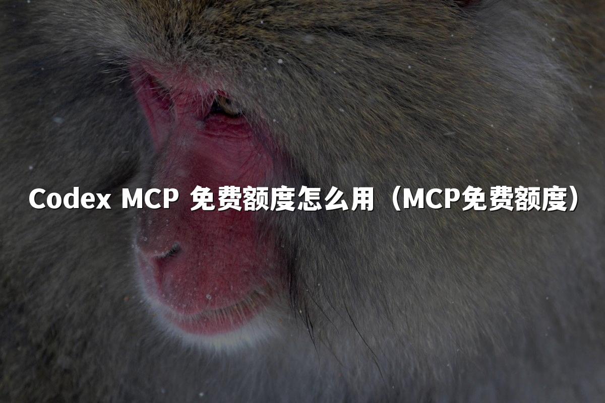 Codex MCP 免费额度怎么用（MCP免费额度）