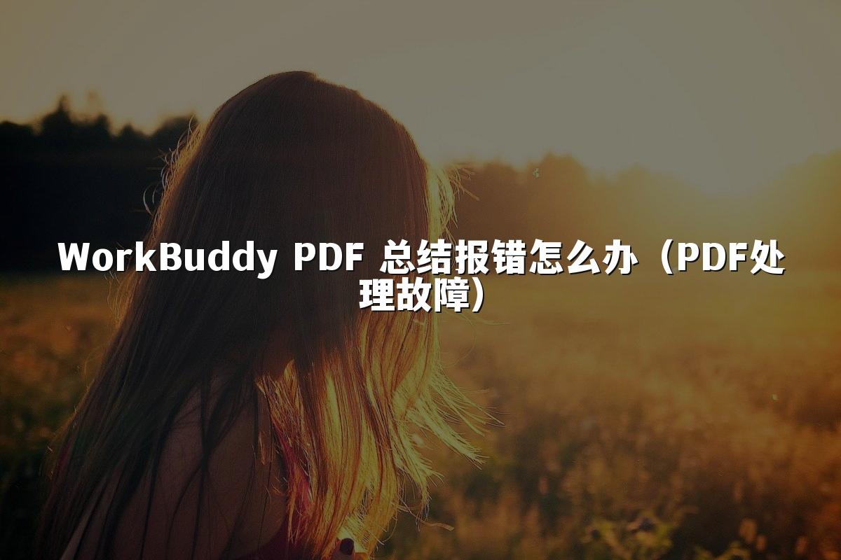 WorkBuddy PDF 总结报错怎么办(PDF处理故障)