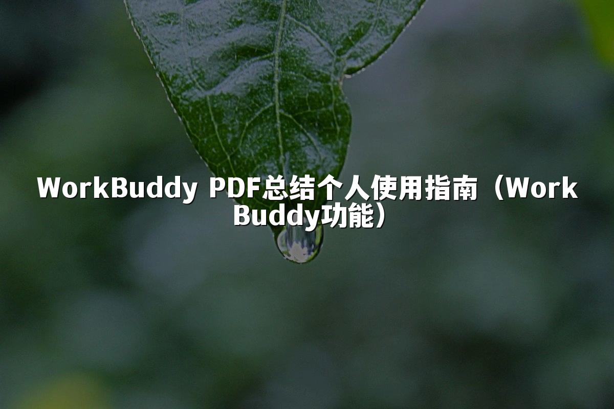 WorkBuddy PDF总结个人使用指南(WorkBuddy功能)