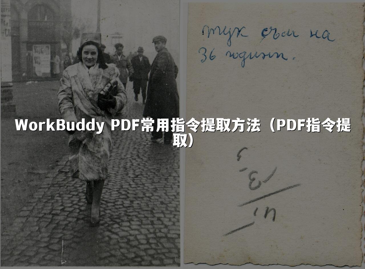 WorkBuddy PDF常用指令提取方法(PDF指令提取)