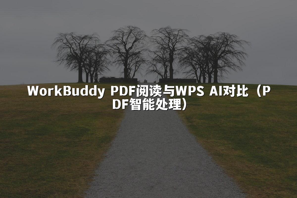 WorkBuddy PDF阅读与WPS AI对比(PDF智能处理)