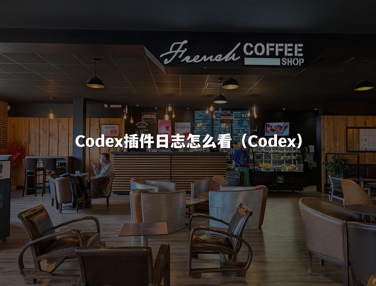 Codex插件日志怎么看(Codex)