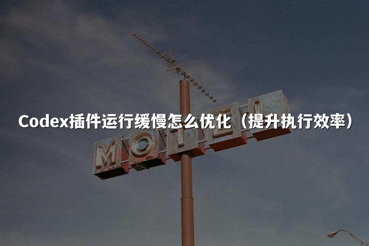 星空官网首页入口插件运行缓慢怎么优化（提升执行效率）
