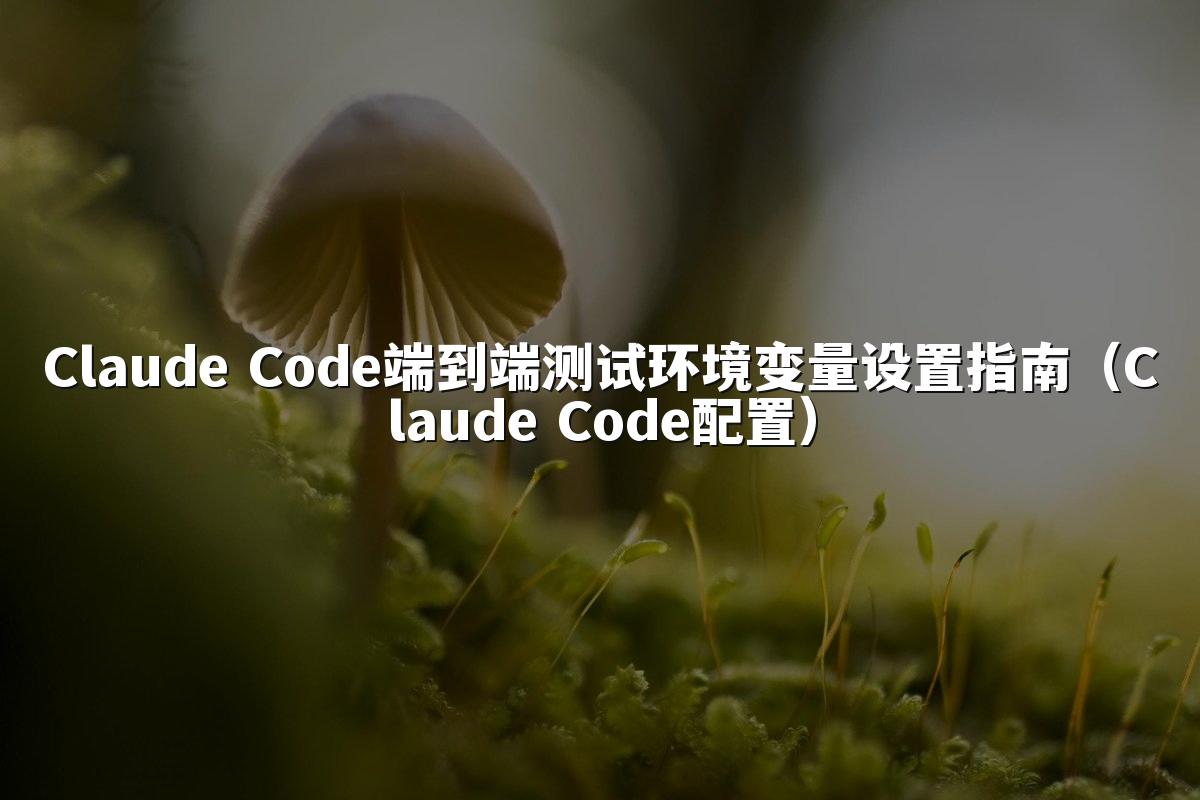 Claude Code端到端测试环境变量设置指南（Claude Code配置）