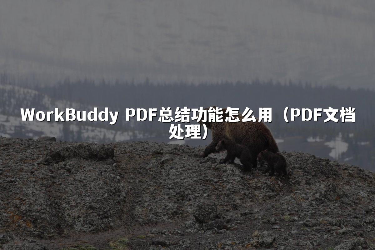 WorkBuddy PDF总结功能怎么用(PDF文档处理)