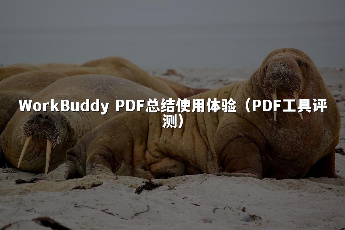 WorkBuddy PDF总结使用体验(PDF工具评测)