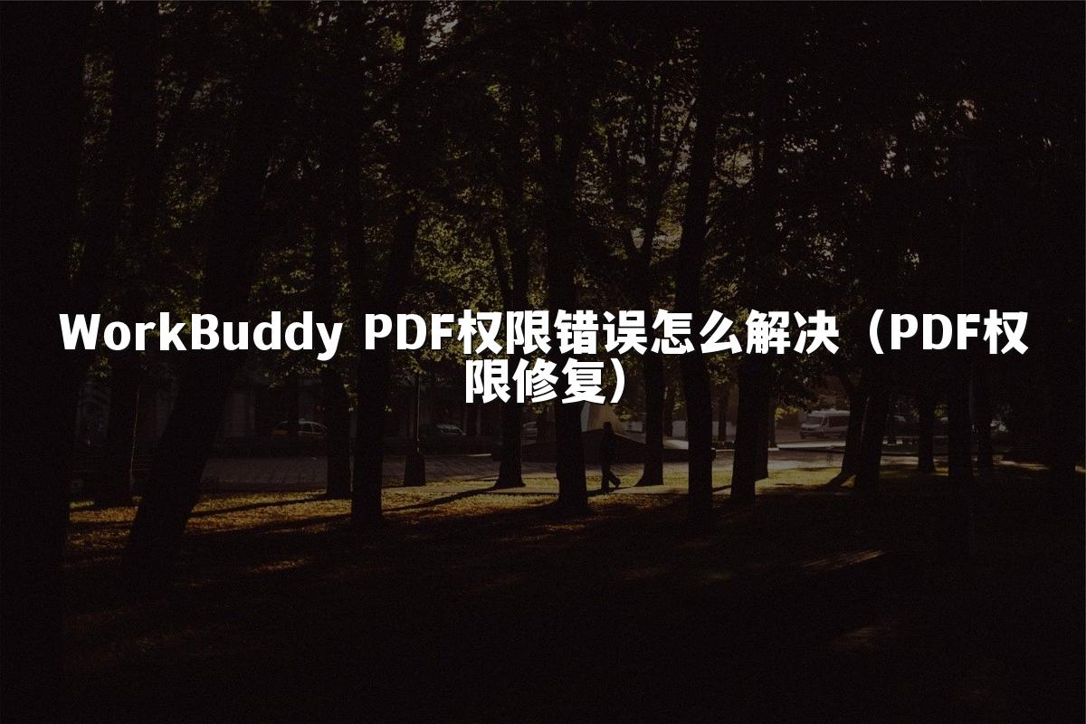 WorkBuddy PDF权限错误怎么解决(PDF权限修复)
