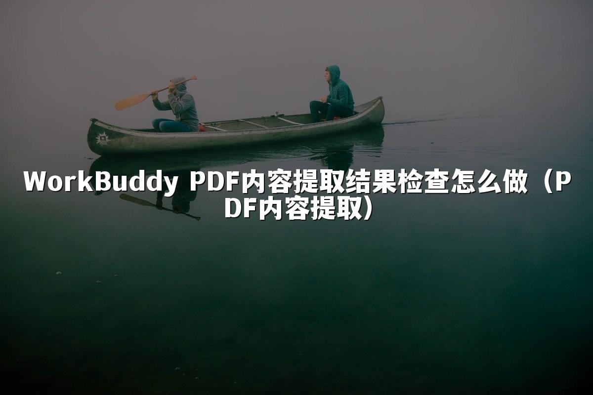 WorkBuddy PDF内容提取结果检查怎么做（PDF内容提取）