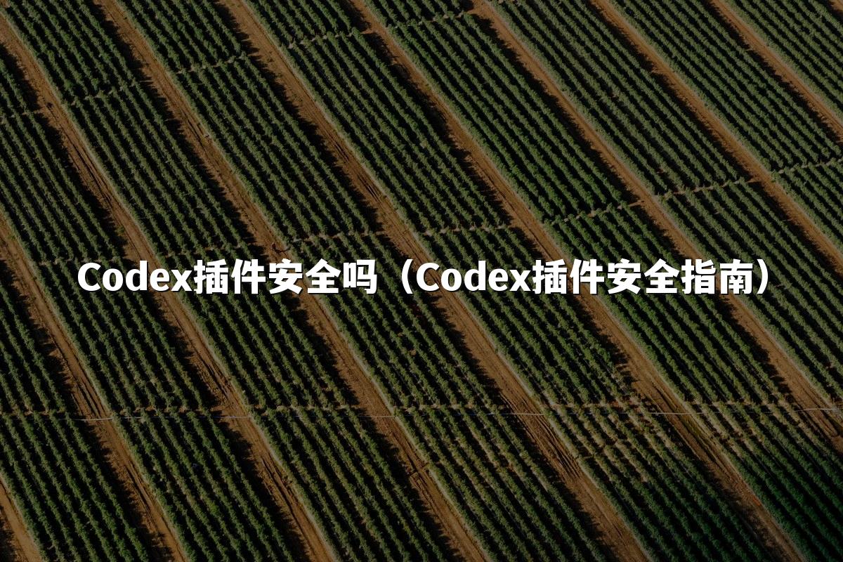 Codex插件安全吗（Codex插件安全指南）