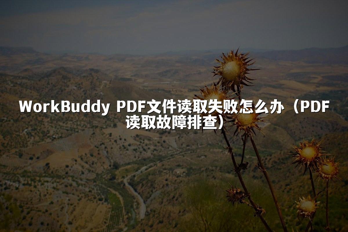 WorkBuddy PDF文件读取失败怎么办(PDF读取故障排查)