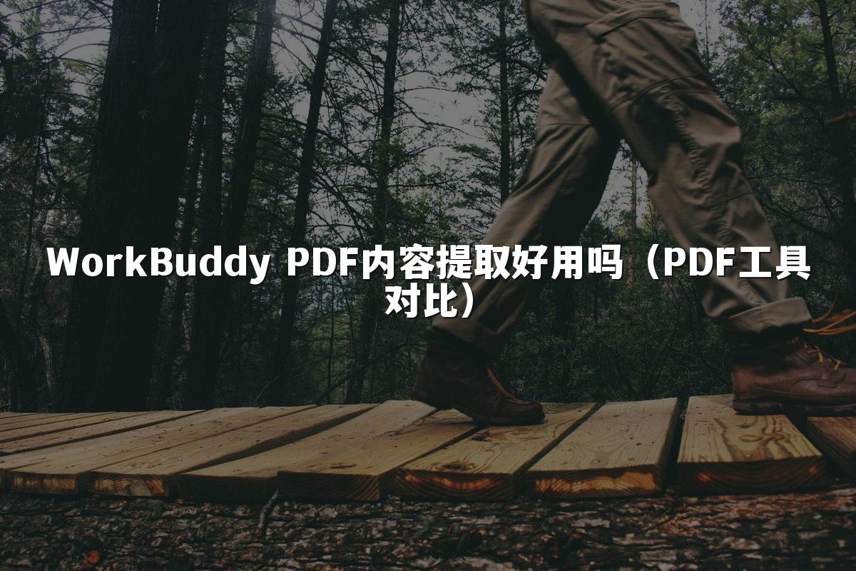 WorkBuddy PDF内容提取好用吗(PDF工具对比)