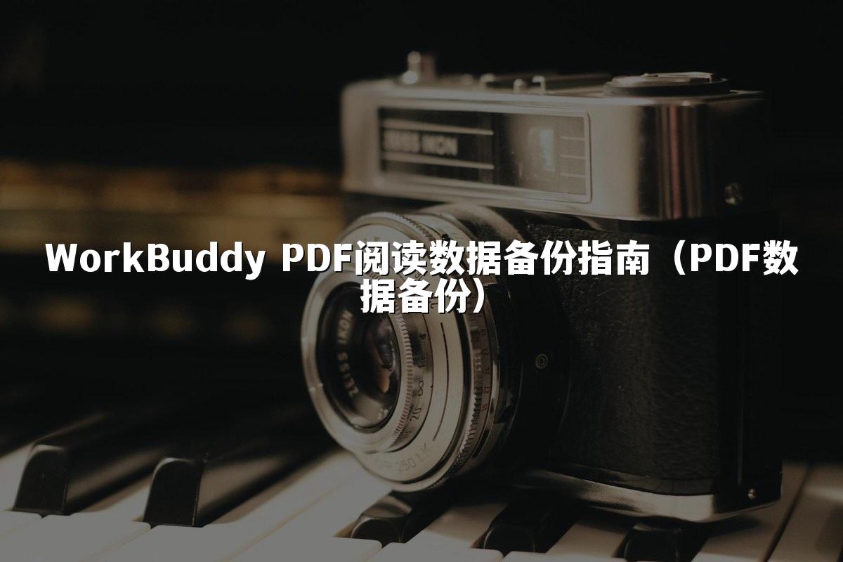 WorkBuddy PDF阅读数据备份指南（PDF数据备份）