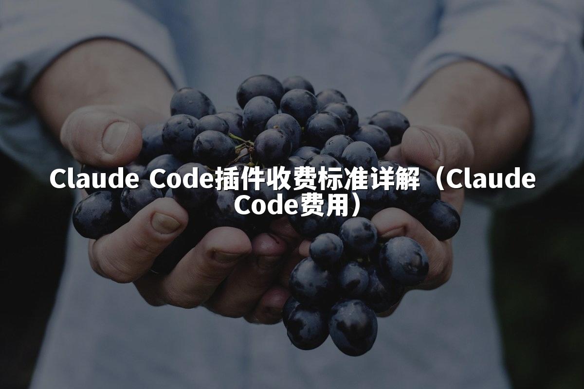 Claude Code插件收费标准详解（Claude Code费用）
