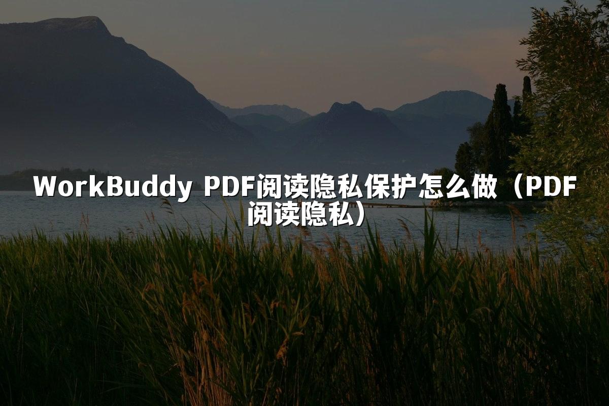 WorkBuddy PDF阅读隐私保护怎么做（PDF阅读隐私）