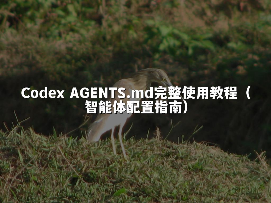 Codex AGENTS.md完整使用教程（智能体配置指南）