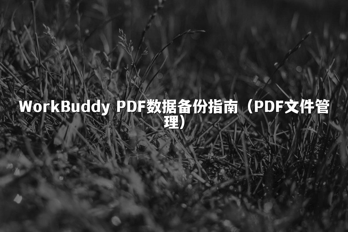 WorkBuddy PDF数据备份指南(PDF文件管理)