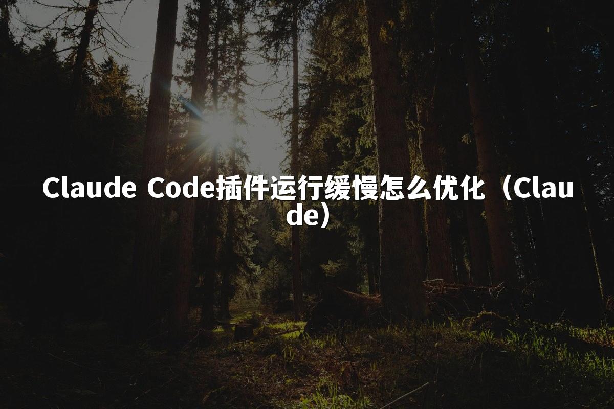 Claude Code插件运行缓慢怎么优化（Claude）