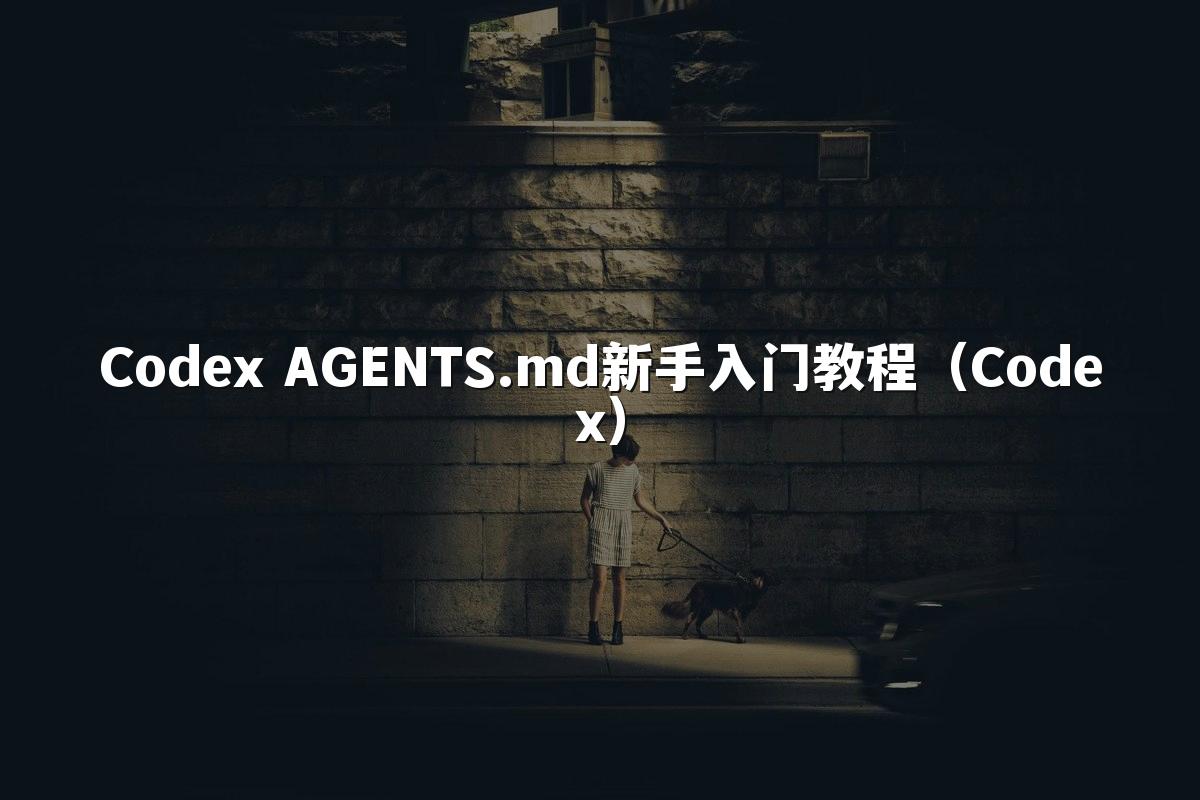 Codex AGENTS.md新手入门教程（Codex）