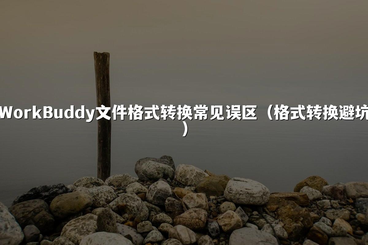 WorkBuddy文件格式转换常见误区(格式转换避坑)