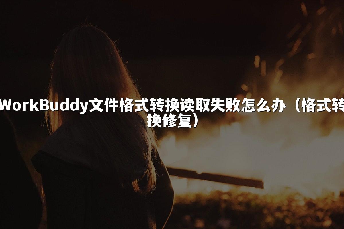 WorkBuddy文件格式转换读取失败怎么办(格式转换修复)