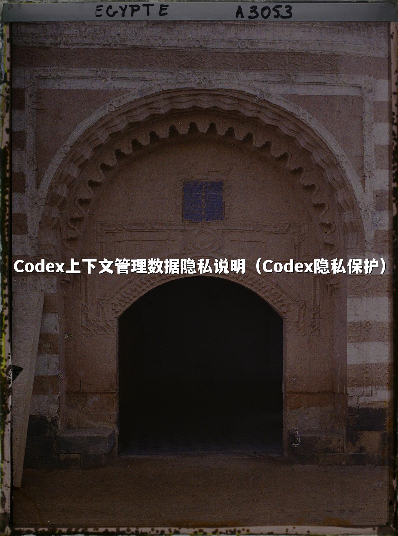 Codex上下文管理数据隐私说明（Codex隐私保护）