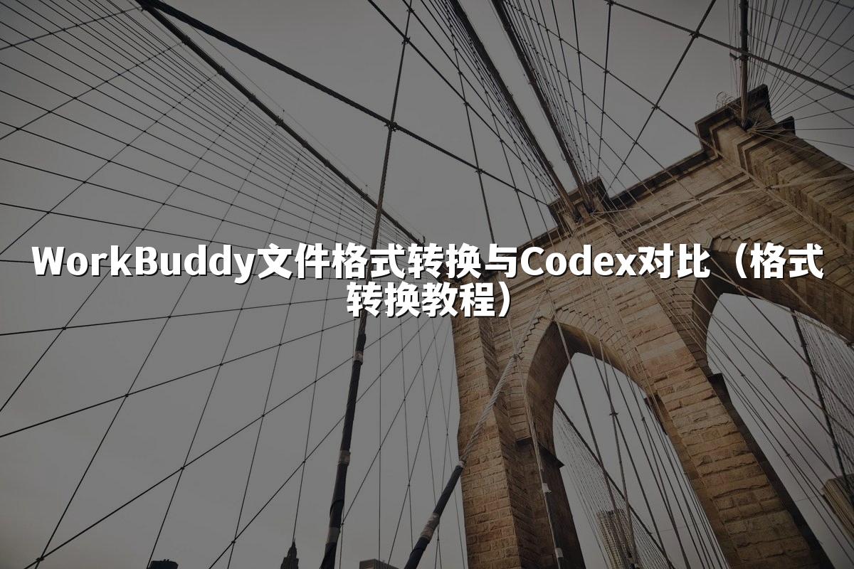 WorkBuddy文件格式转换与Codex对比(格式转换教程)