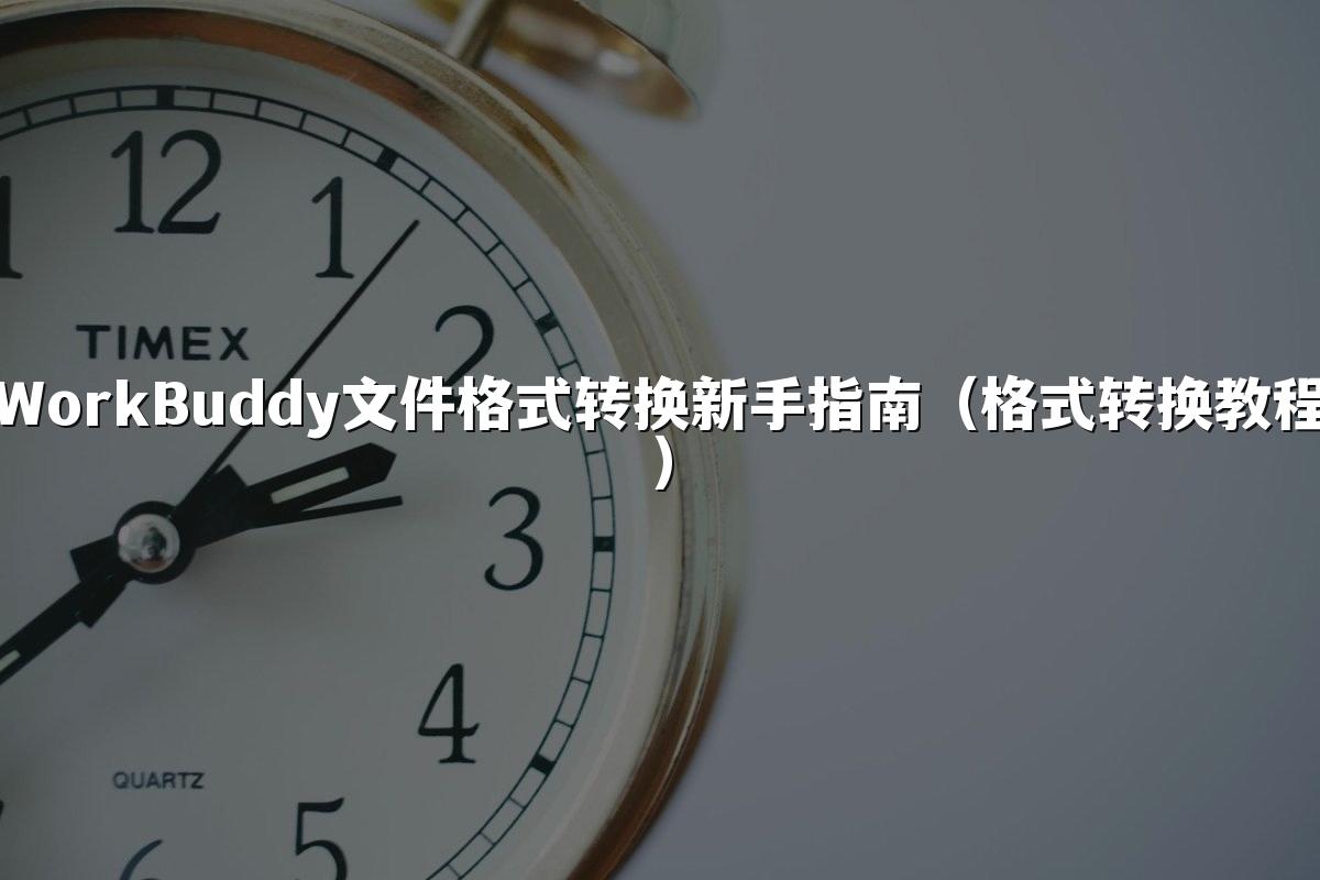 WorkBuddy文件格式转换新手指南(格式转换教程)