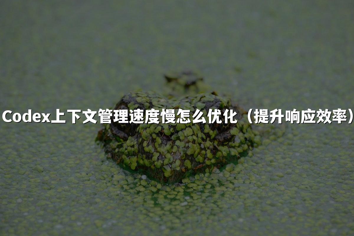 Codex上下文管理速度慢怎么优化(提升响应效率)