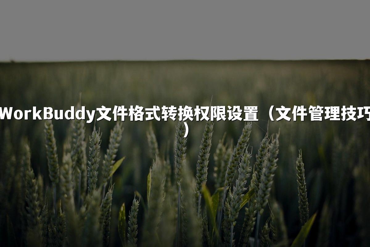 WorkBuddy文件格式转换权限设置（文件管理技巧）