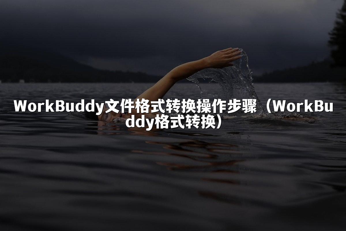 WorkBuddy文件格式转换操作步骤（WorkBuddy格式转换）