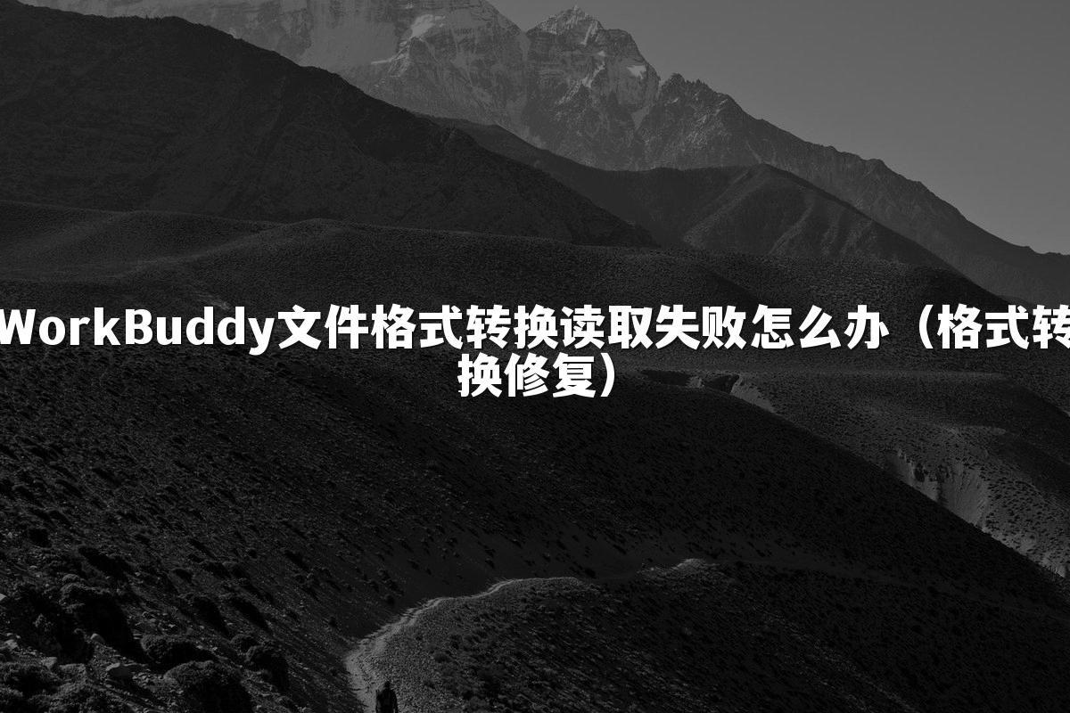 WorkBuddy文件格式转换读取失败怎么办（格式转换修复）