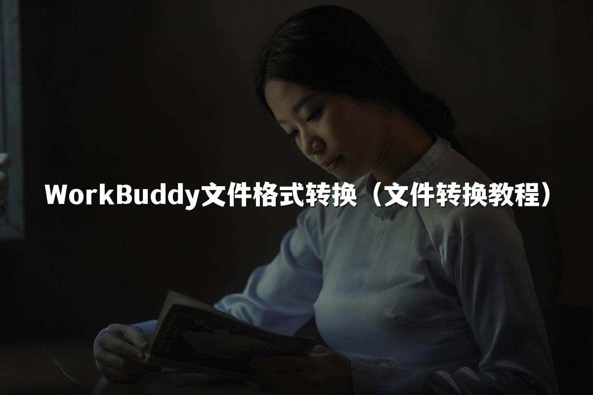 WorkBuddy文件格式转换（文件转换教程）