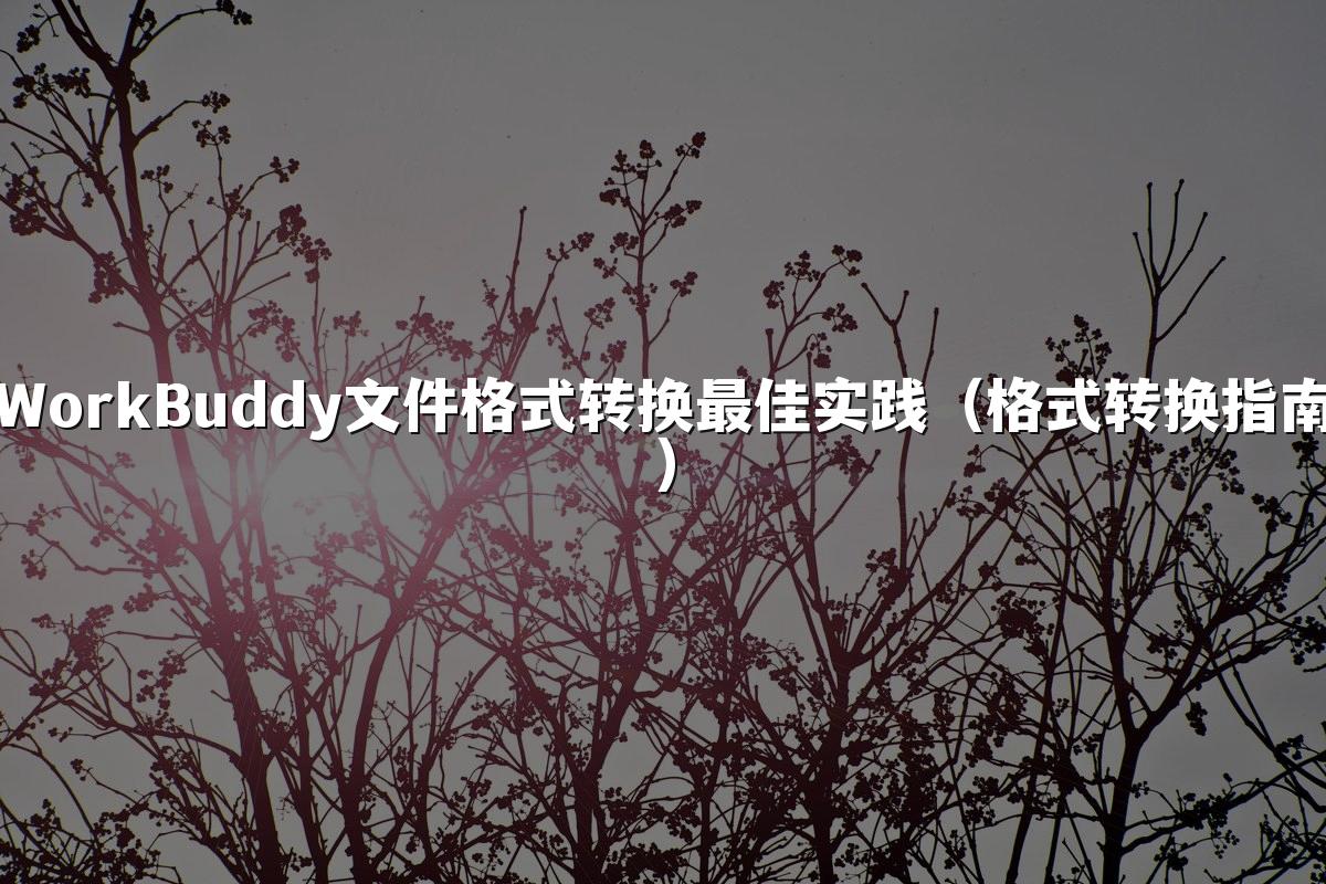 WorkBuddy文件格式转换最佳实践（格式转换指南）