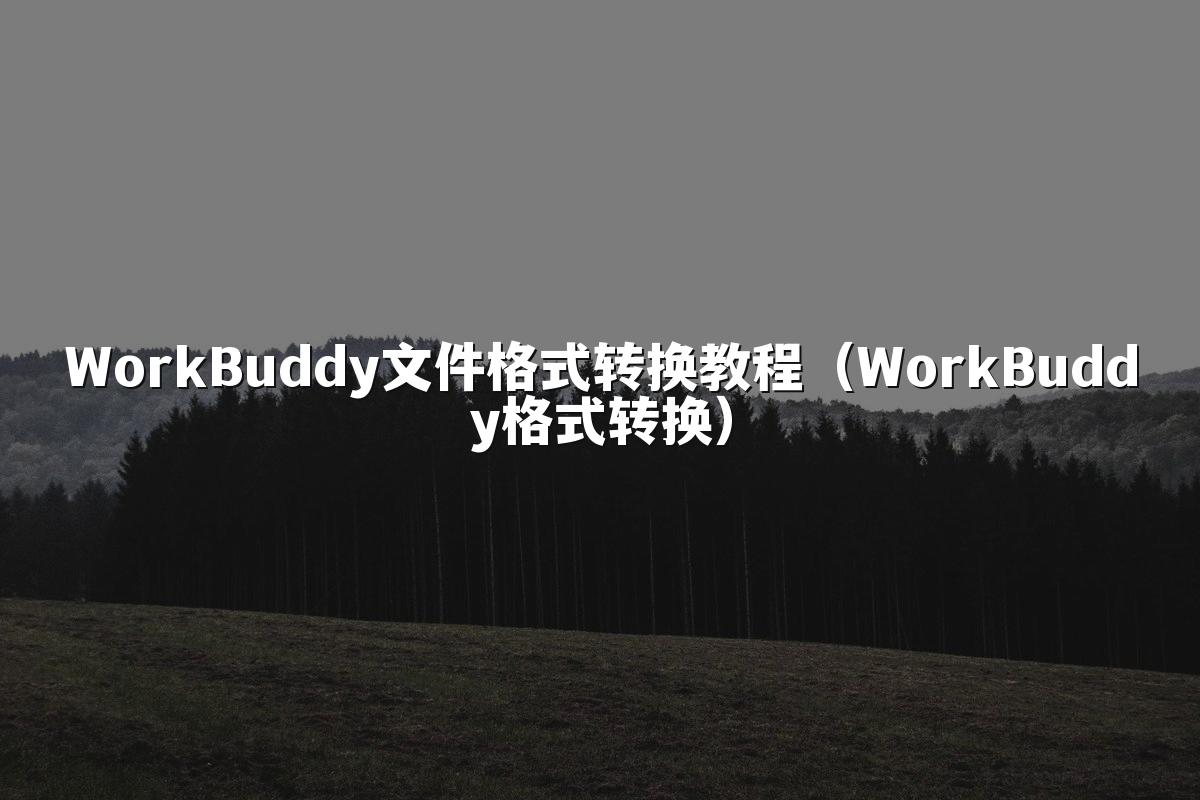 WorkBuddy文件格式转换教程(WorkBuddy格式转换)