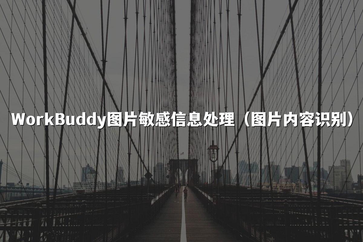 WorkBuddy图片敏感信息处理（图片内容识别）