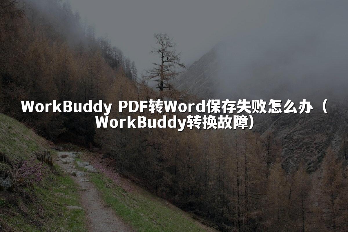 WorkBuddy PDF转Word保存失败怎么办(WorkBuddy转换故障)