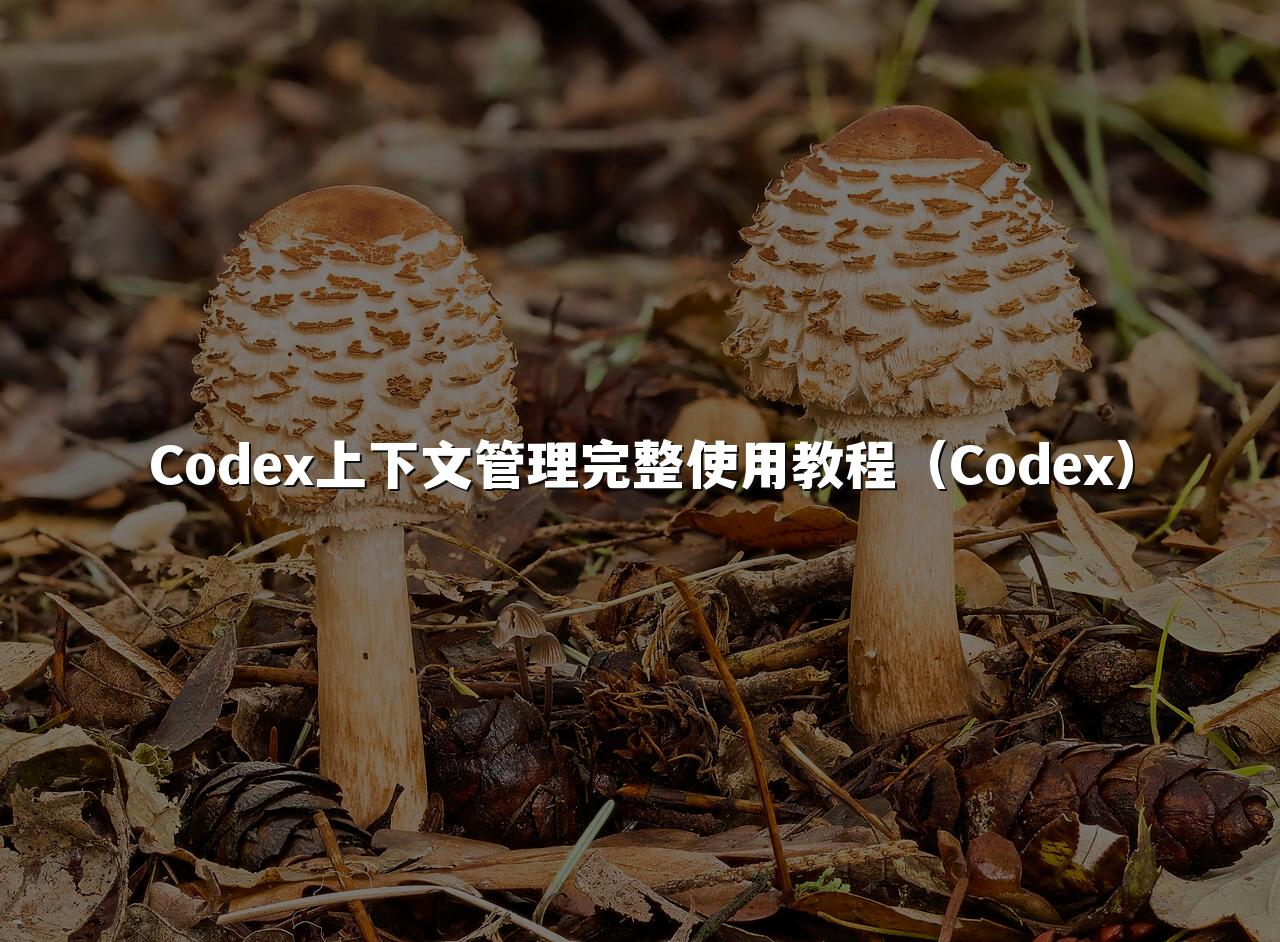 Codex上下文管理完整使用教程（Codex）