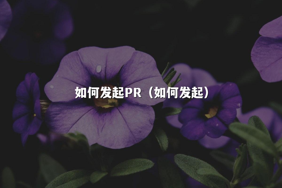 如何发起PR(如何发起)