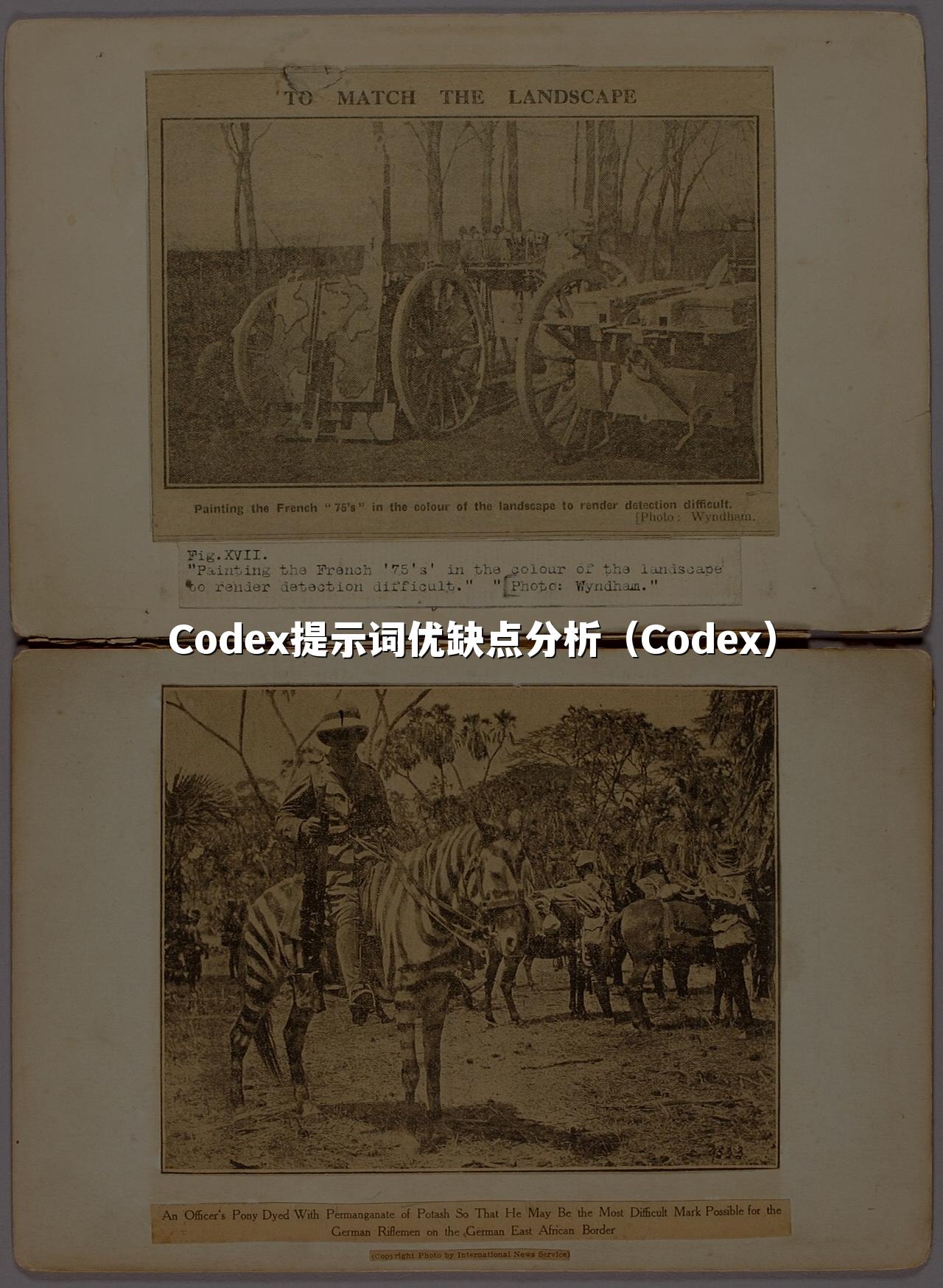 星空官网首页入口提示词优缺点分析(星空官网首页入口)