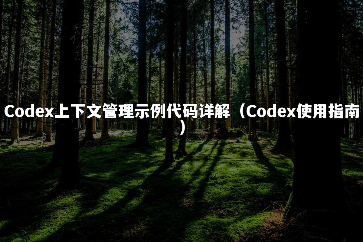Codex上下文管理示例代码详解（Codex使用指南）