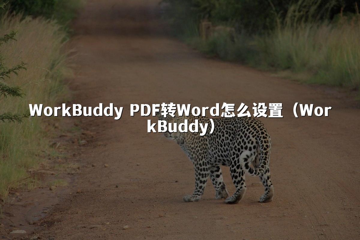 WorkBuddy PDF转Word怎么设置(WorkBuddy)