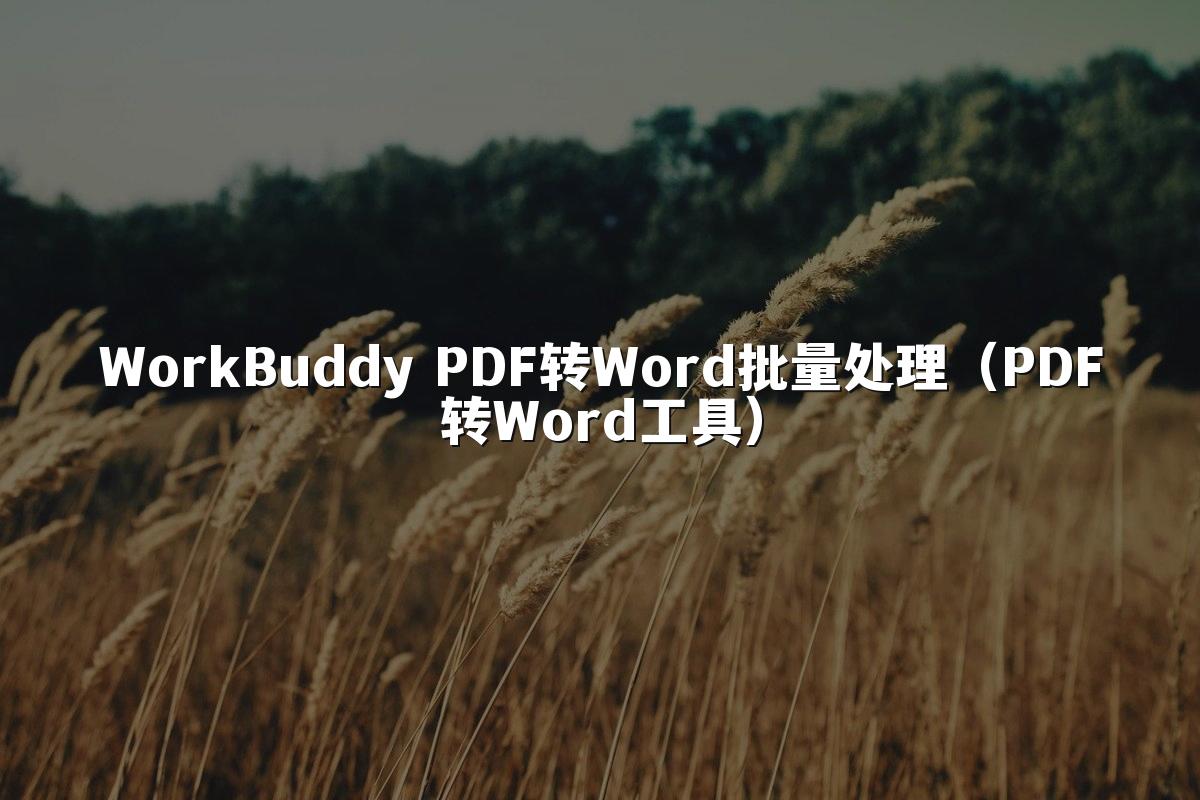 WorkBuddy PDF转Word批量处理(PDF转Word工具)