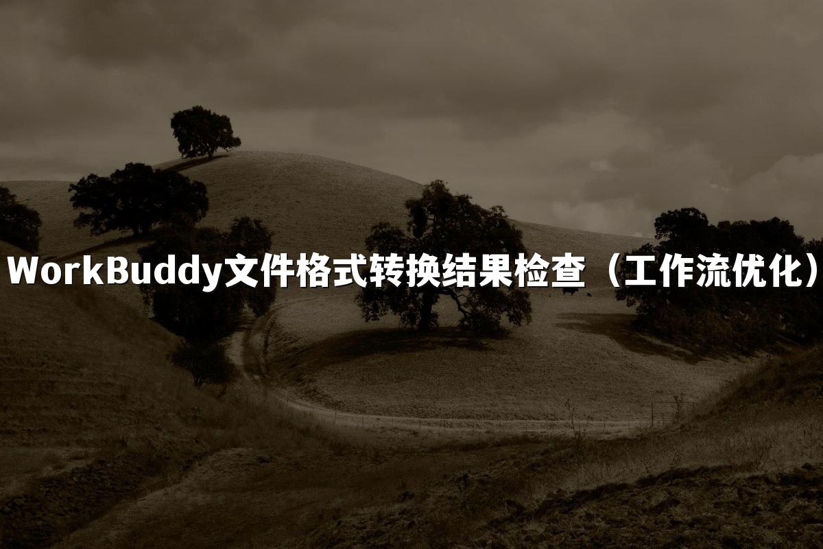 WorkBuddy文件格式转换结果检查（工作流优化）