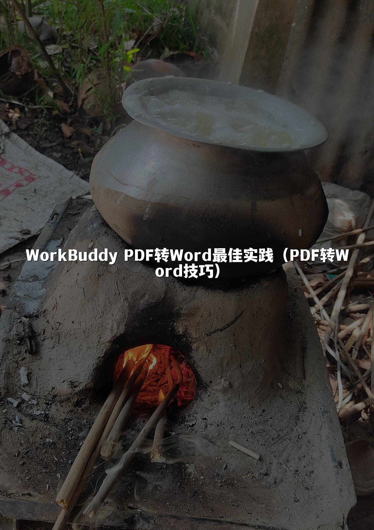 WorkBuddy PDF转Word最佳实践(PDF转Word技巧)