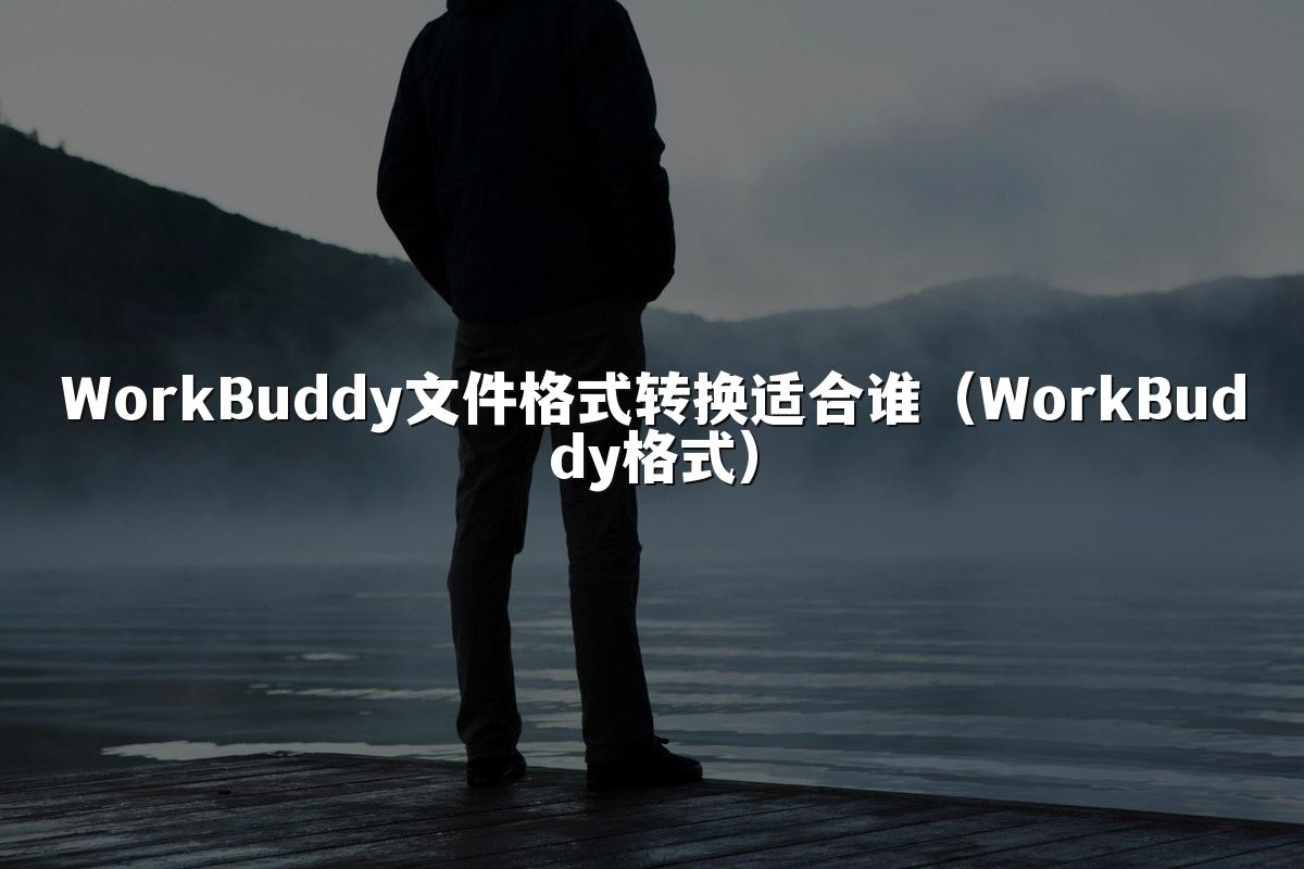 WorkBuddy文件格式转换适合谁（WorkBuddy格式）